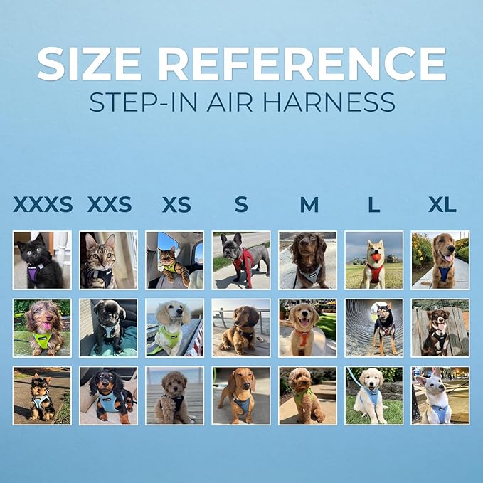 Best Pet Supplies - Image 5