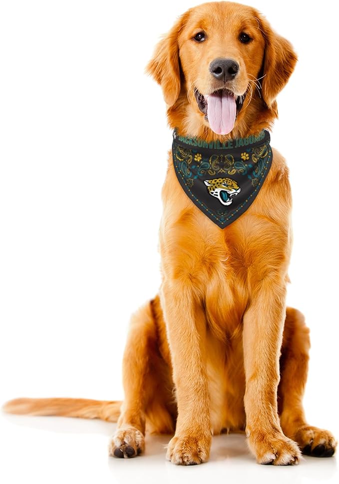 Littlearth NFL Denver Broncos Pet Bandana - Image 3