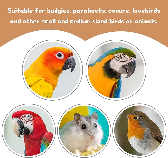 18 PCS Bird Perches Stand Toy, Natural Wood Parrot Perch Stand Bird Cage - Image 7