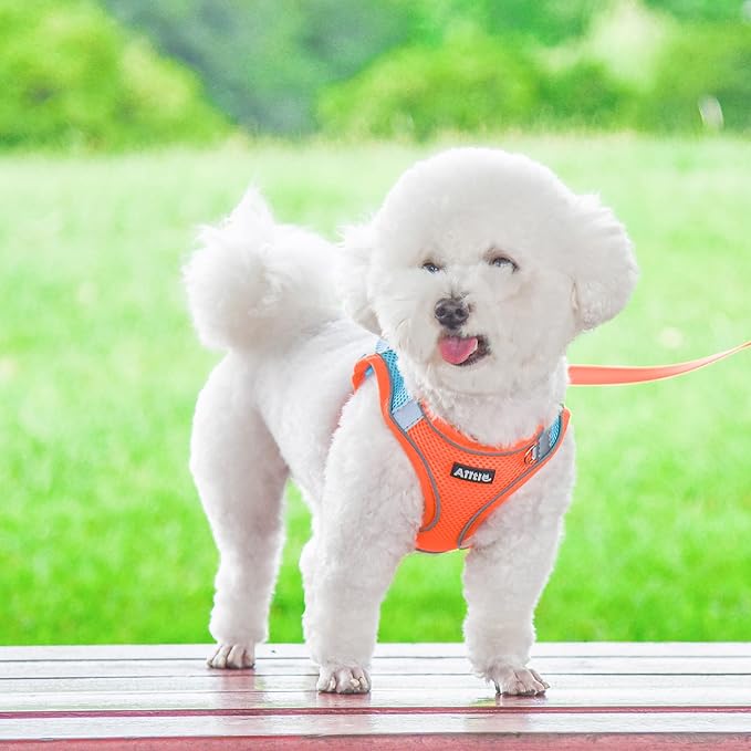AIITLE Escape Proof Dog Harness - Image 6