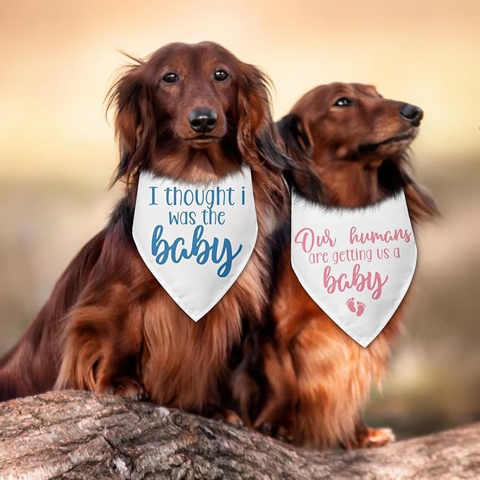 2 Packs Baby Announcement Dog Bandana Our Humans are Getting Us a Baby Gender - Image 5