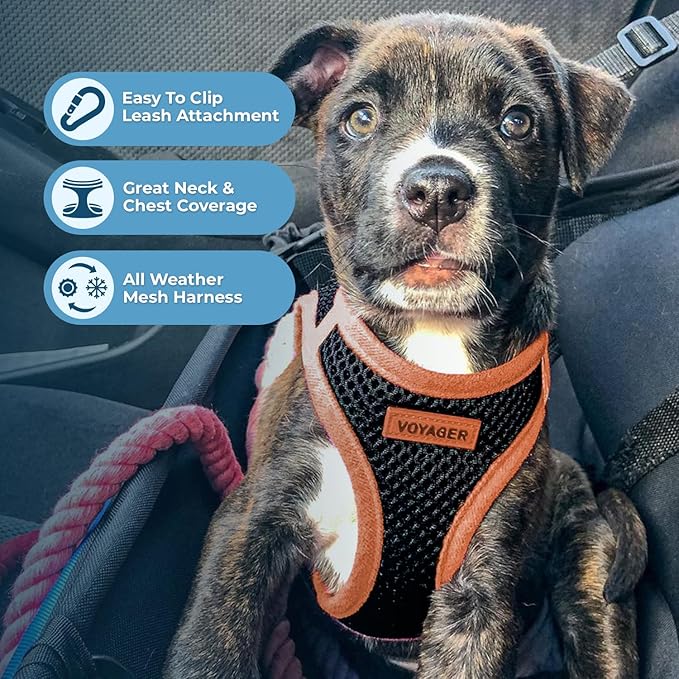 Voyager Step-in Air Dog Harness - Image 4
