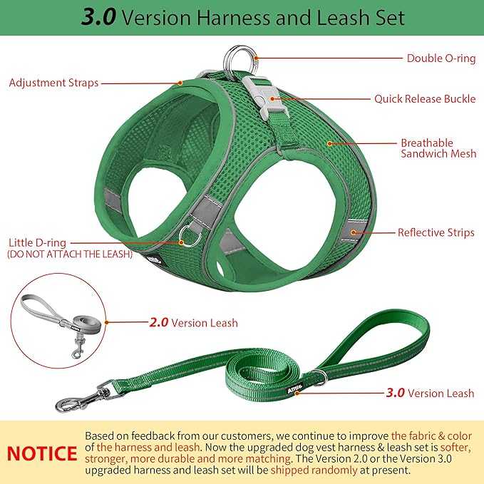 AIITLE Step in Dog Harness and Leash Set - Image 4