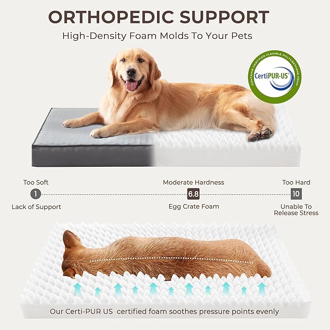 2-Pack XL Waterproof Dog Bed Large Size Dogs, Plush Cushion & Orthopedic - Image 3