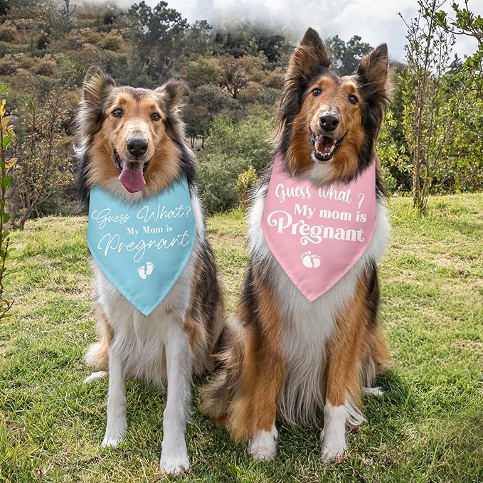 2 Packs Baby Announcements Ideas Guess What? My Mom is Pregnant Pregnancy - Image 3