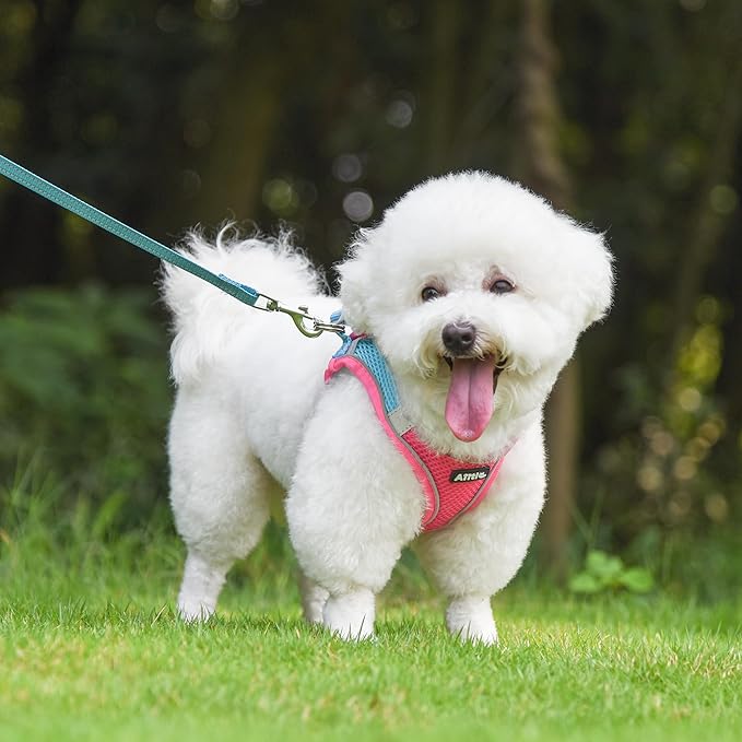 AIITLE Escape Proof Dog Harness - Image 2