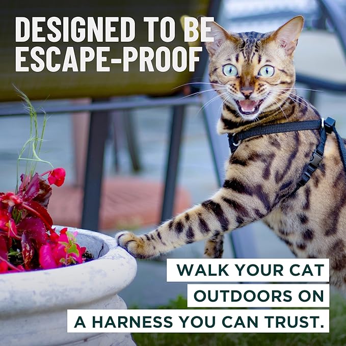 Houdini™ Escape Proof Cat Harness and Leash Set by OutdoorBengal – Black - Image 2