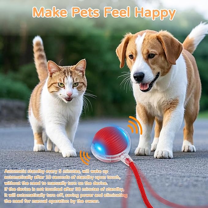 2025 New 2Pack Cat Ball Kitten Toys - Image 6