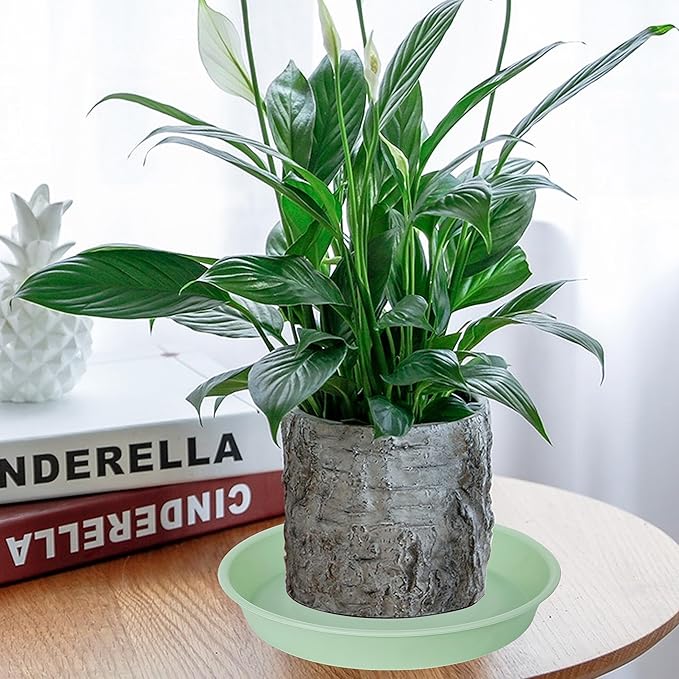 2 Pack of 14 inch Plant Saucers Bird Bath Bow Round, Plastic Plant Saucer Tray - Image 7