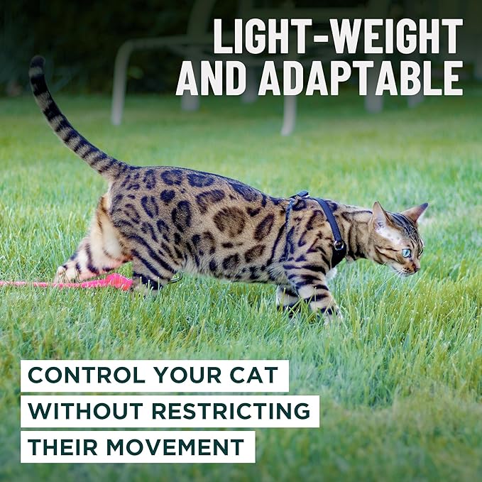 Houdini™ Escape Proof Cat Harness and Leash Set by OutdoorBengal – Red - Image 7