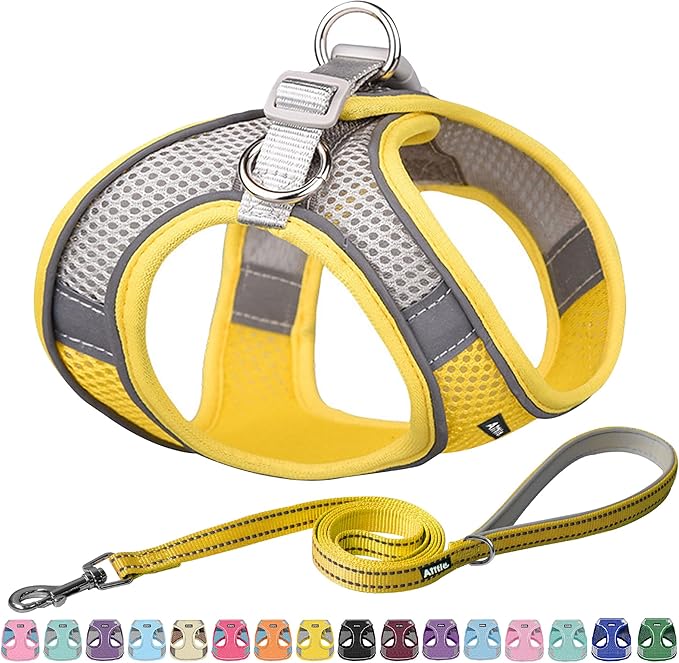 AIITLE No Pull Dog Harness and Leash Set, Step in Adjustable Dog Harness by AIITLE-FORPETSBETTERLIFE