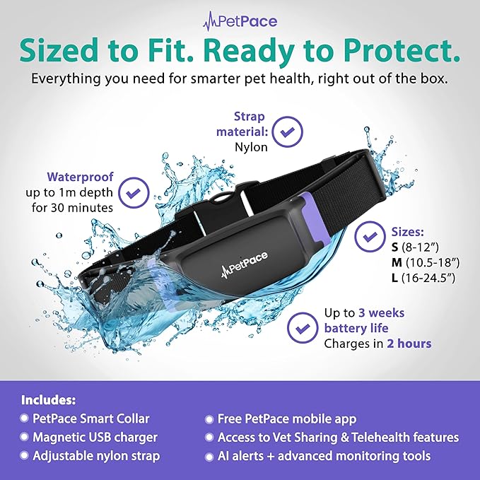 NEW Dog Health Monitor V3.0 by PetPace – AI Smart Collar - Image 4