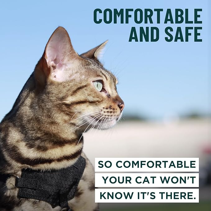 Houdini™ Escape Proof Kitten Harness and Leash Set by OutdoorBengal – Turquoise - Image 4
