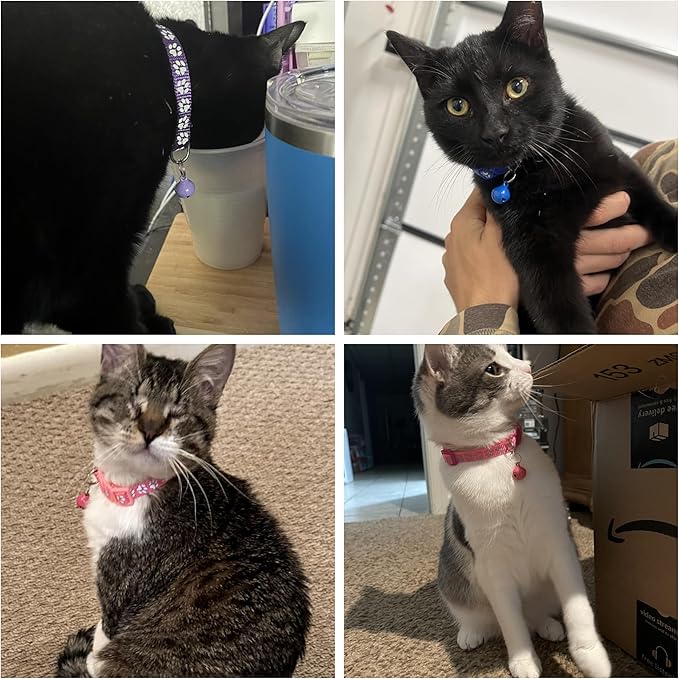 Purple Reflective Cat Collar - Image 2