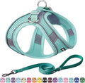 AIITLE Small Harness for Puppy by AIITLE-FORPETSBETTERLIFE