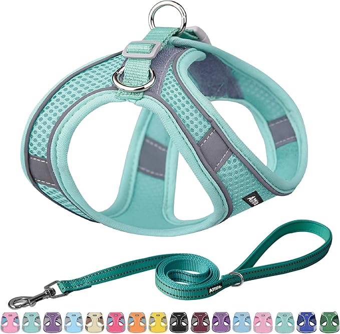AIITLE Easy Walk Dog Harness and Leash Set by AIITLE-FORPETSBETTERLIFE
