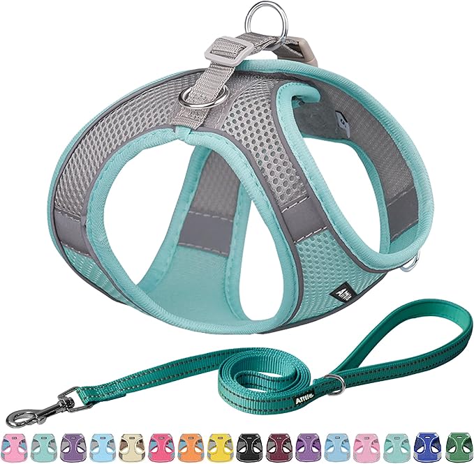 AIITLE Dog Harness, No-Pull Cat Harness by AIITLE-FORPETSBETTERLIFE