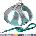 AIITLE No Pull Dog Harness and Leash Set, Step in Adjustable Dog Harness by AIITLE-FORPETSBETTERLIFE
