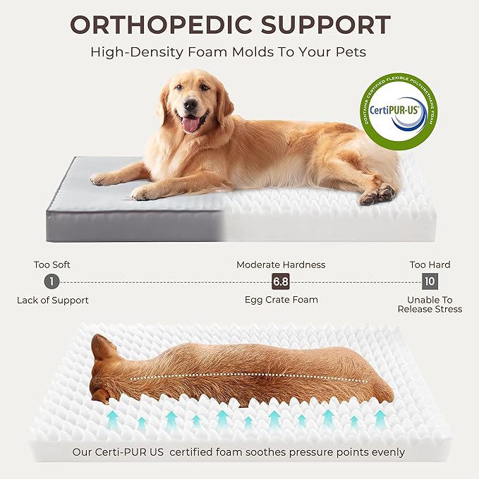 2-Pack Waterproof Dog Bed Large Size Dogs, Plush Cushion & Orthopedic Egg-Crate - Image 3