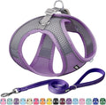 AIITLE Step in Dog Harness and Leash Set by AIITLE-FORPETSBETTERLIFE