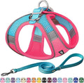AIITLE Comfortable Dog Harness and Leash Set by AIITLE-FORPETSBETTERLIFE