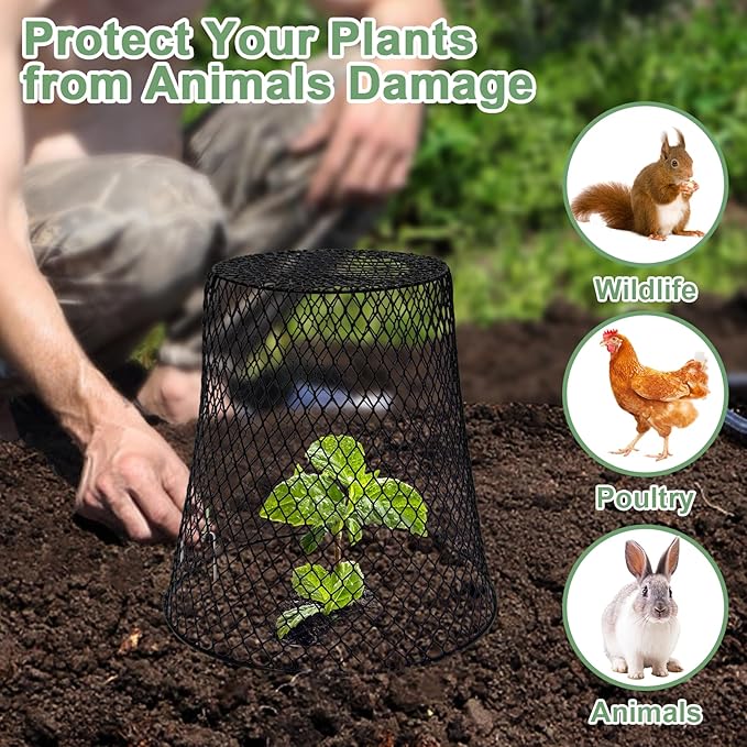 10 Pcs 9"×9" Chicken Wire Plant Protectors from Animals, Plant Cage Garden - Image 6