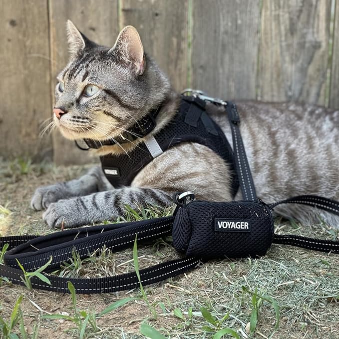 Best Pet Supplies Voyager Step-in Air All Weather Mesh Harness and Reflective - Image 9