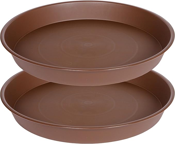 2 Pack of 8 inch Plant Saucer Clear, Heavy Duty Plastic Plant Water Tray 8 inch by Bleuhome