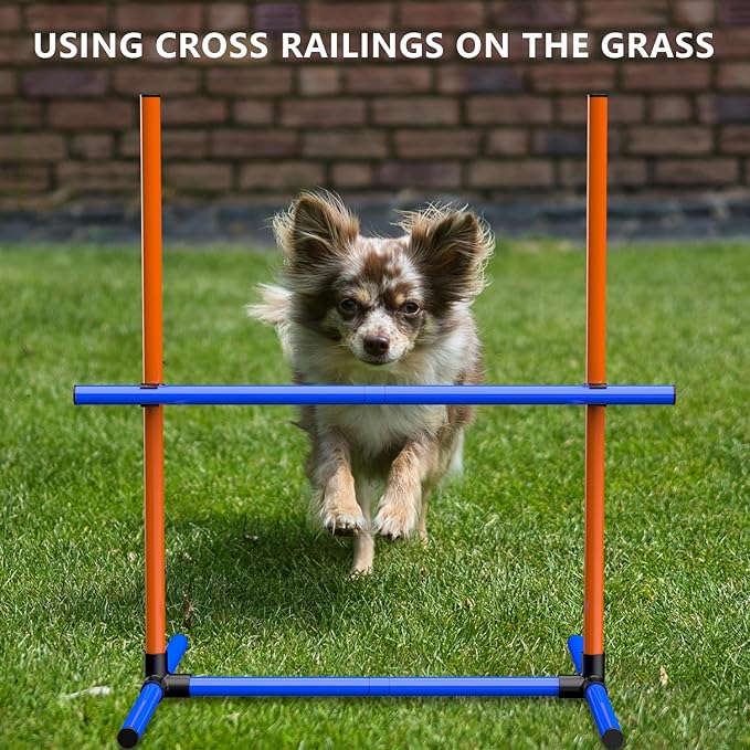 Dog Agility Training Jumping Hoop - Image 6