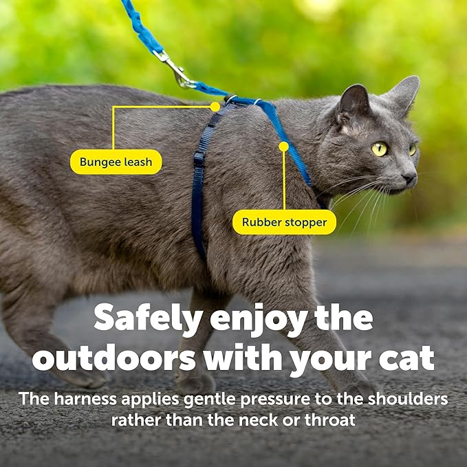 PetSafe Come With Me Kitty Cat Harness & Bungee Leash - Image 5