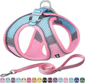 AIITLE No Pull Dog Harness and Leash Set, Step in Adjustable Dog Harness by AIITLE-FORPETSBETTERLIFE