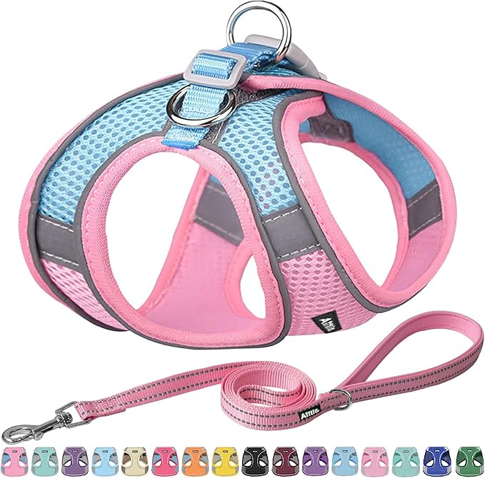 AIITLE Small Harness for Puppy by AIITLE-FORPETSBETTERLIFE