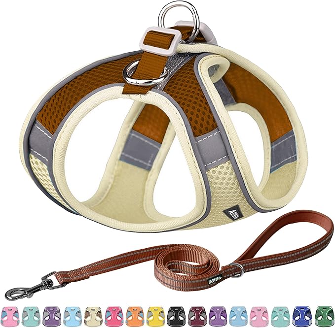 AIITLE Dog Harness, No-Pull Cat Harness by AIITLE-FORPETSBETTERLIFE