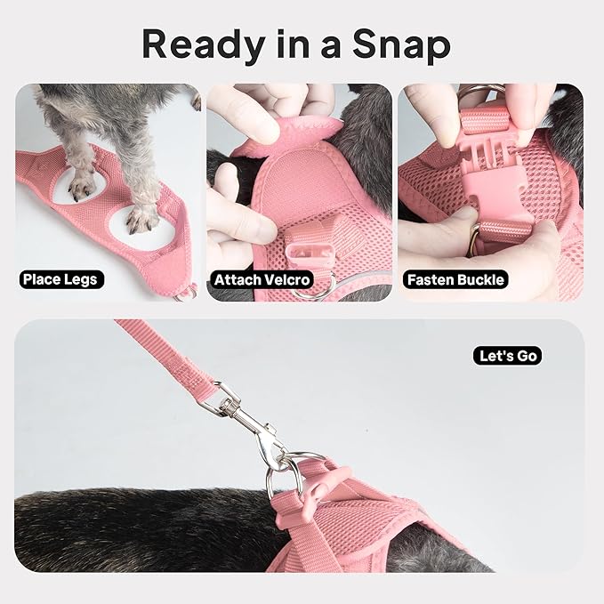 PetiFine Extra Small Step in Dog Harness and Leash Set, Cat Harness and Leash - Image 5