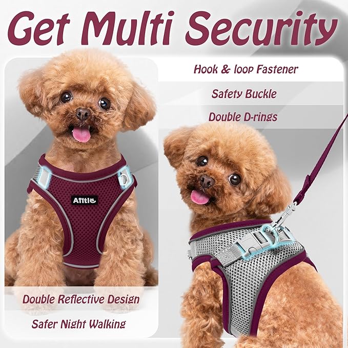 AIITLE Comfortable Dog Harness and Leash Set - Image 9