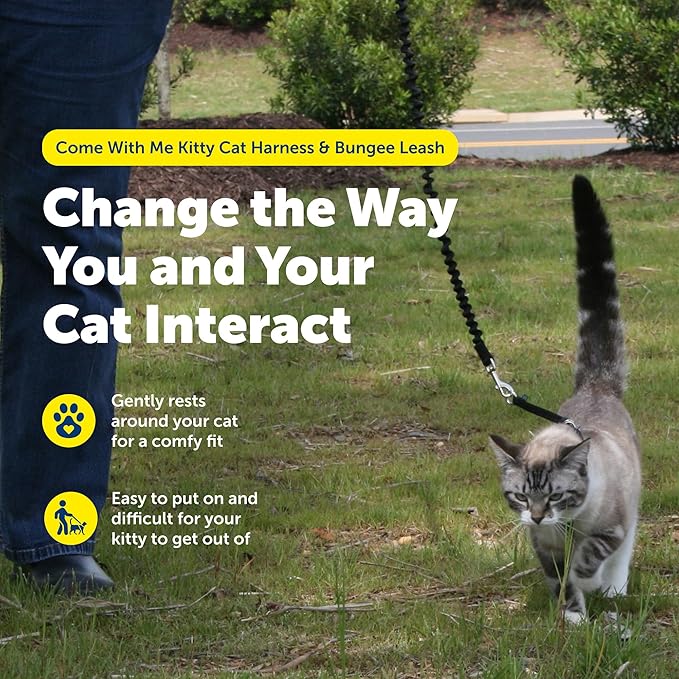 PetSafe Come With Me Kitty Cat Harness & Bungee Leash - Image 2