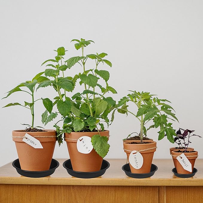 2 Pack of 10 inch Plant Saucer Gray, Heavy Duty Plastic Plant Saucer 10 inch - Image 3