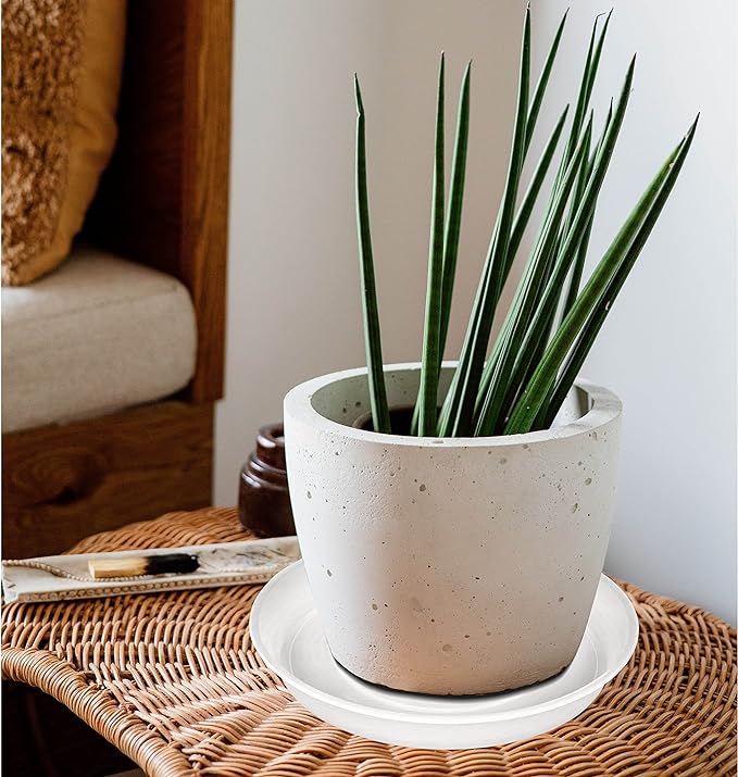 2 Pack of 8 inch Plant Saucer Clear, Heavy Duty Plastic Plant Water Tray 8 inch - Image 4