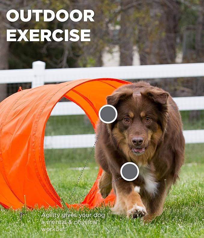 Outward Hound Zip & Zoom Outdoor Dog Agility Training Kit - Image 7